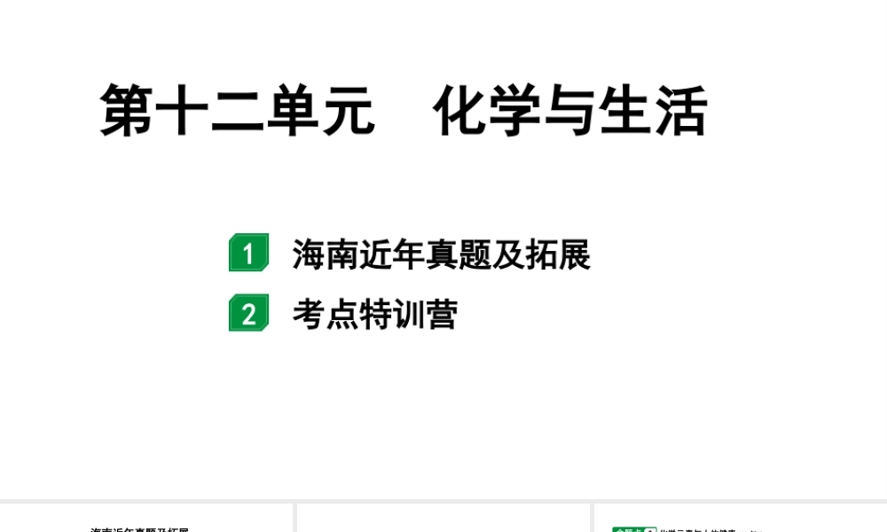 2024海南中考化学一轮复习 中考考点研究 第十二单元 化学与生活（课件）.pptx