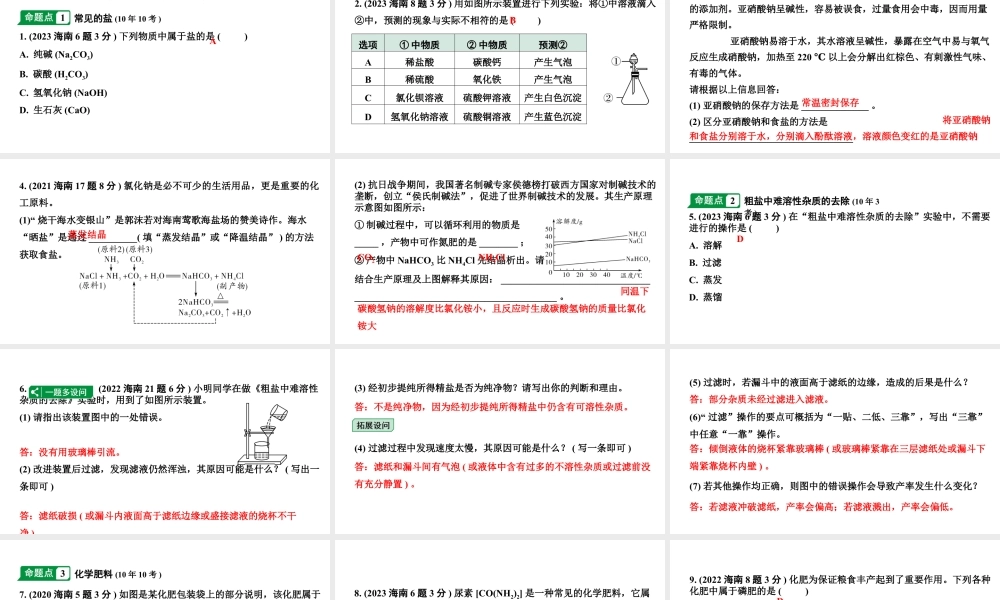 2024海南中考化学一轮复习 中考考点研究 第十一单元 盐　化肥（课件）.pptx