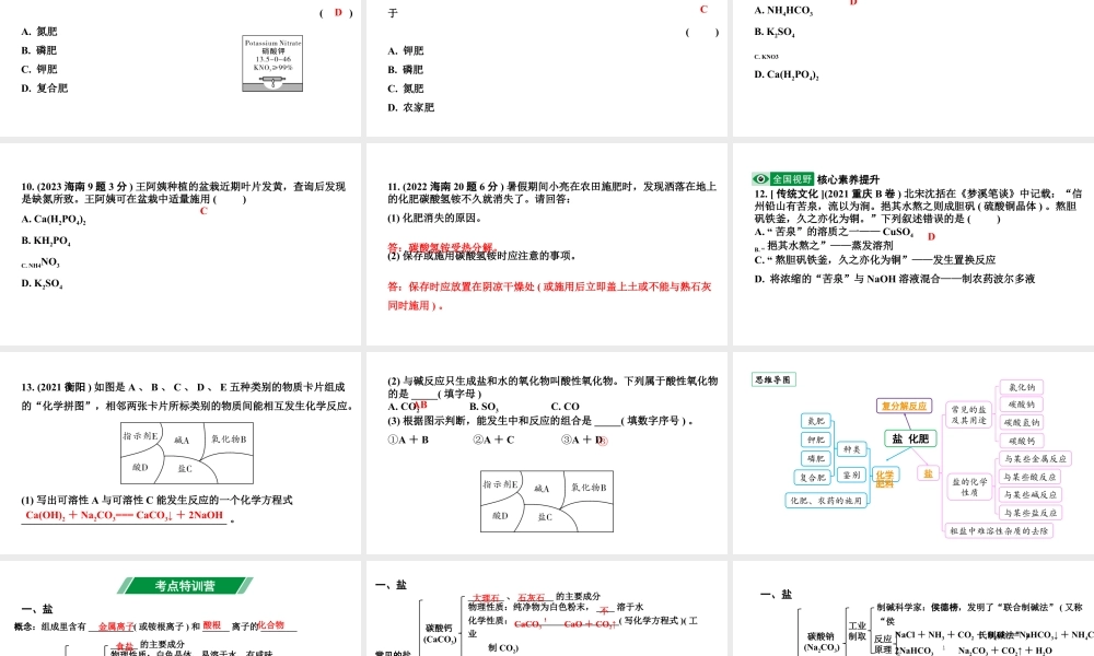 2024海南中考化学一轮复习 中考考点研究 第十一单元 盐　化肥（课件）.pptx