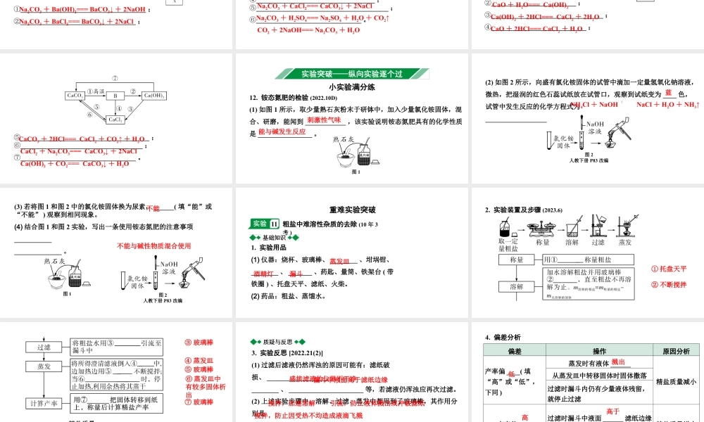 2024海南中考化学一轮复习 中考考点研究 第十一单元 盐　化肥（课件）.pptx