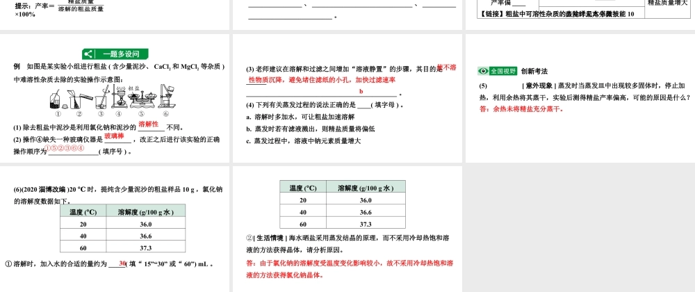 2024海南中考化学一轮复习 中考考点研究 第十一单元 盐　化肥（课件）.pptx