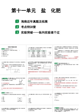 2024海南中考化学一轮复习 中考考点研究 第十一单元 盐　化肥（课件）.pptx