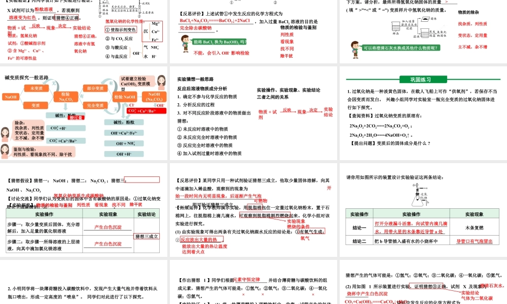 2024河北化学中考备考重难专题：氢氧化钠变质的探究 （课件）.pptx