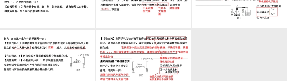 2024河北化学中考备考重难专题：氢氧化钠变质的探究 （课件）.pptx