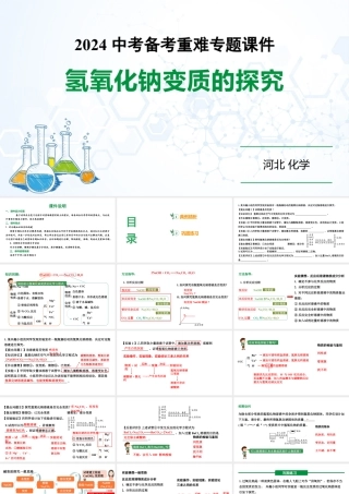 2024河北化学中考备考重难专题：氢氧化钠变质的探究 （课件）.pptx