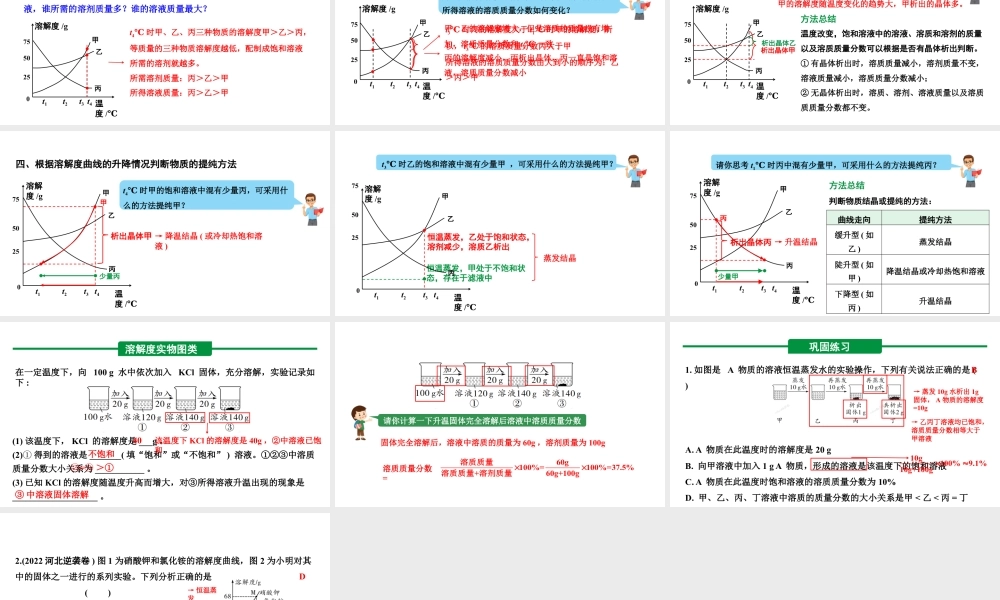 2024河北化学中考备考重难专题：溶解度及溶解度曲线分析（课件）.pptx