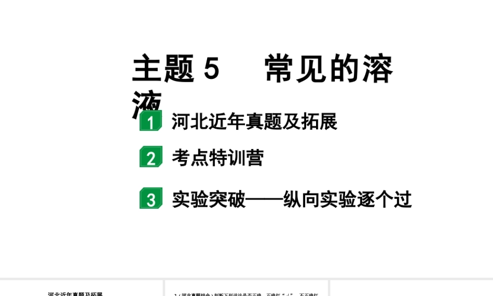 2024河北中考化学二轮重点专题突破 主题5 常见的溶液（课件）.pptx