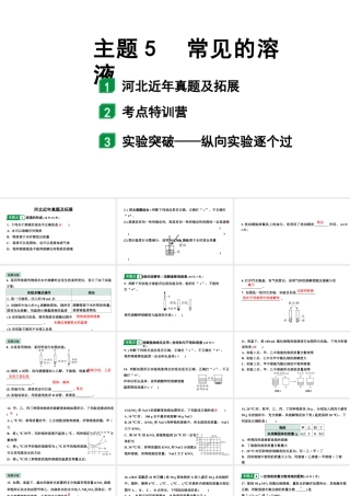 2024河北中考化学二轮重点专题突破 主题5 常见的溶液（课件）.pptx