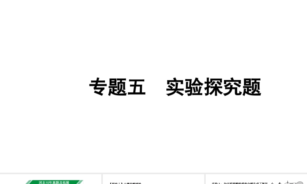 2024河北中考化学二轮重点专题突破 专题五 实验探究题（课件）.pptx