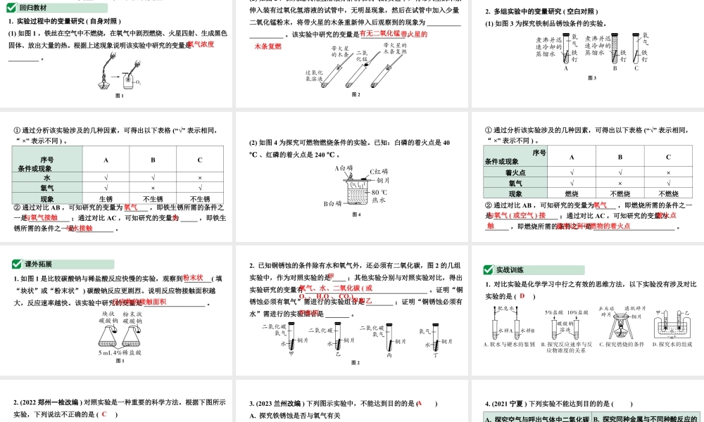 2024河南中考化学二轮重点专题突破 专题七  横向实验归类练（课件）.pptx