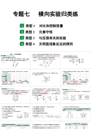 2024河南中考化学二轮重点专题突破 专题七  横向实验归类练（课件）.pptx