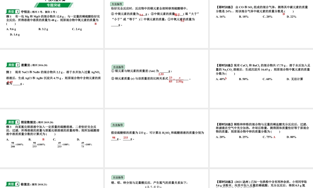 2024湖南中考化学二轮专题复习 专题八 化学计算（课件）.pptx