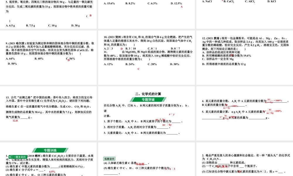 2024湖南中考化学二轮专题复习 专题八 化学计算（课件）.pptx