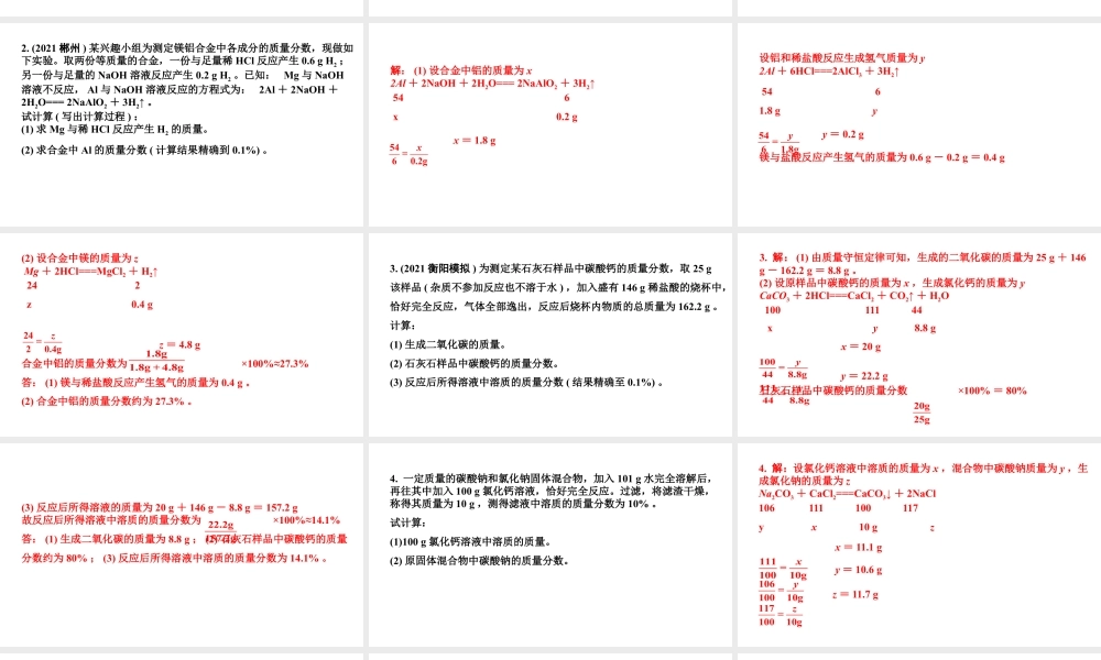 2024湖南中考化学二轮专题复习 专题八 化学计算（课件）.pptx