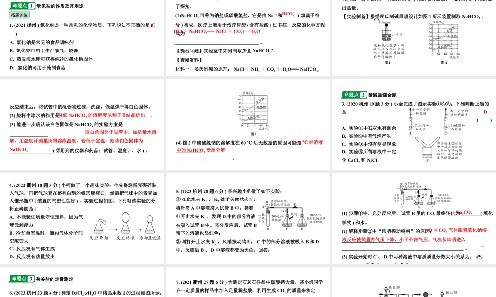 2024江苏中考化学二轮中考考点研究 第10讲  重要的盐（课件）.pptx