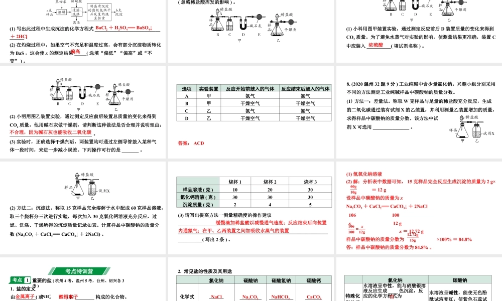 2024江苏中考化学二轮中考考点研究 第10讲  重要的盐（课件）.pptx