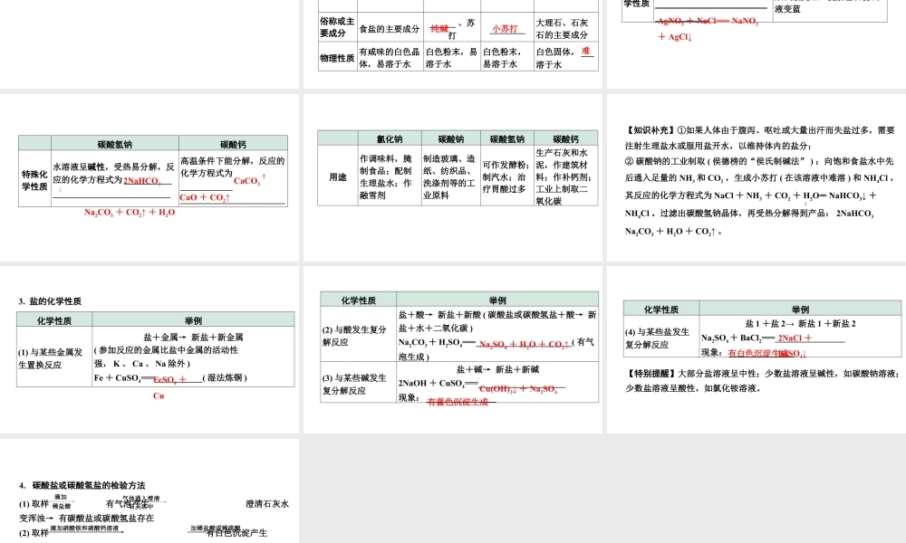 2024江苏中考化学二轮中考考点研究 第10讲  重要的盐（课件）.pptx