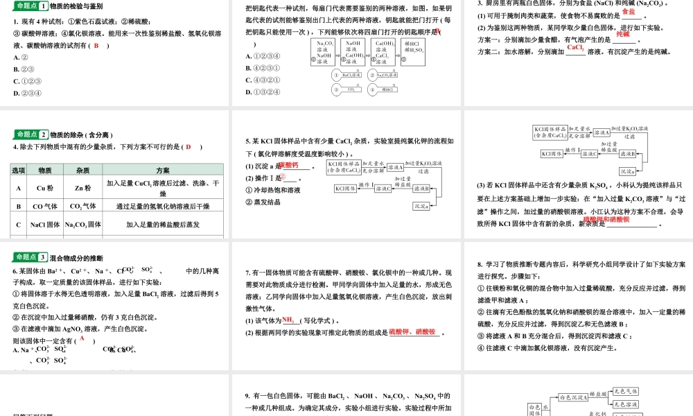 2024江苏中考化学二轮中考考点研究 第11讲 物质的检验、鉴别、除杂(含分离)和推断（课件）.pptx