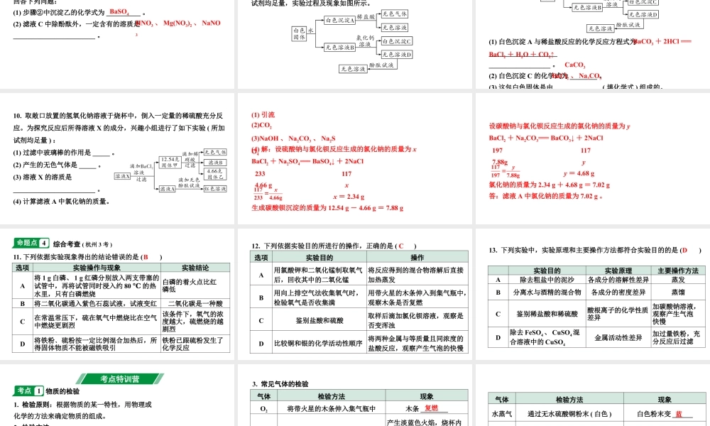 2024江苏中考化学二轮中考考点研究 第11讲 物质的检验、鉴别、除杂(含分离)和推断（课件）.pptx