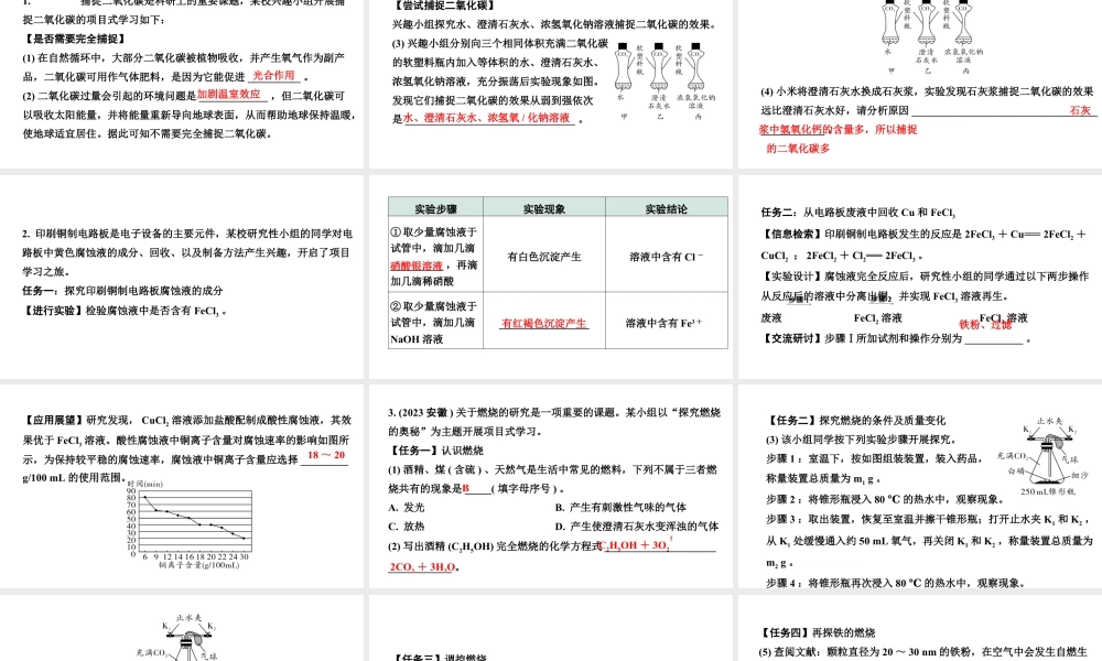 2024江苏中考化学二轮中考考点研究 题型二  项目性试题（课件）.pptx