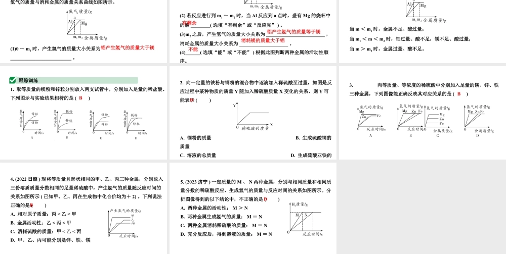 2024江苏中考化学二轮中考考点研究 微专题 金属与酸反应的图像分析（课件）.pptx