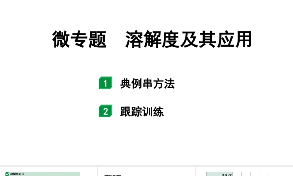 2024江苏中考化学二轮中考考点研究 微专题 溶解度及其应用（课件）.pptx