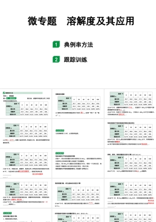 2024江苏中考化学二轮中考考点研究 微专题 溶解度及其应用（课件）.pptx