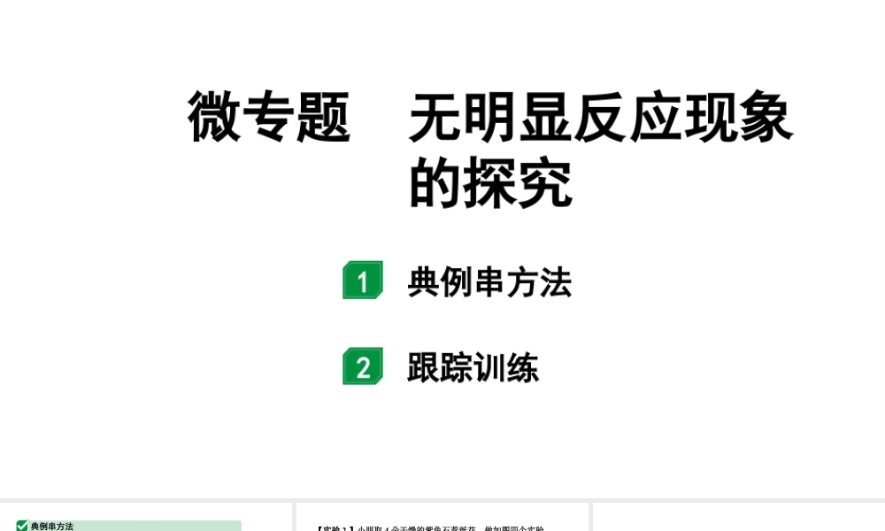 2024江苏中考化学二轮中考考点研究 微专题 无明显反应现象的探究 （课件）.pptx