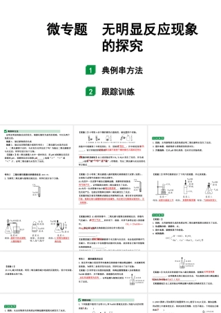 2024江苏中考化学二轮中考考点研究 微专题 无明显反应现象的探究 （课件）.pptx