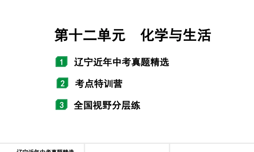 2024辽宁中考化学二轮重点专题研究 第十二单元  化学与生活（课件）.pptx