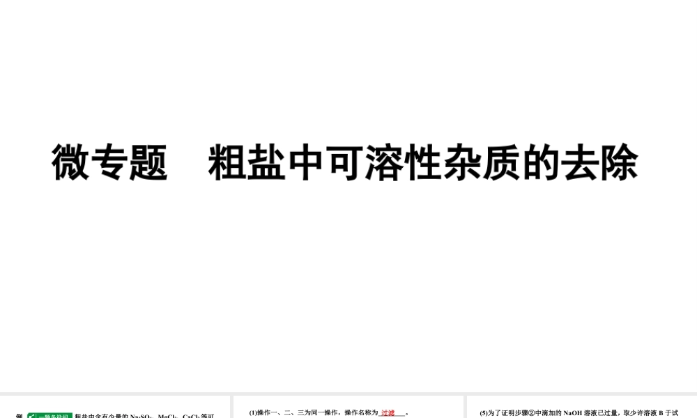 2024辽宁中考化学二轮重点专题研究 微专题 粗盐中可溶性杂质的去除（课件）.pptx