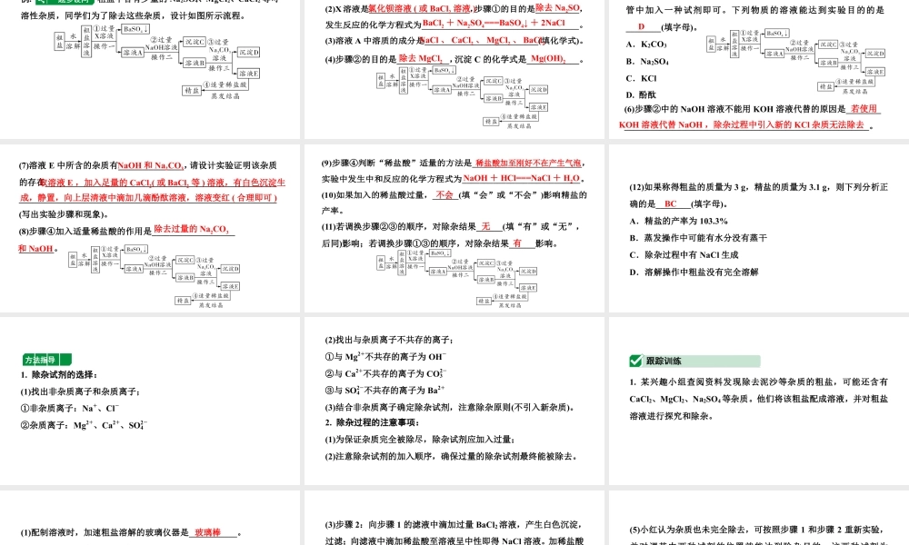 2024辽宁中考化学二轮重点专题研究 微专题 粗盐中可溶性杂质的去除（课件）.pptx