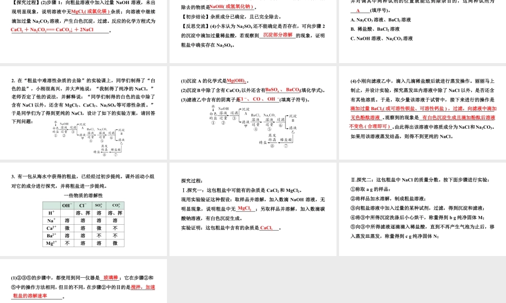 2024辽宁中考化学二轮重点专题研究 微专题 粗盐中可溶性杂质的去除（课件）.pptx