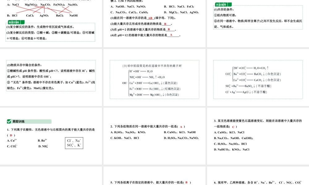 2024辽宁中考化学二轮重点专题研究 微专题 复分解反应的条件及物质的共存（课件）.pptx