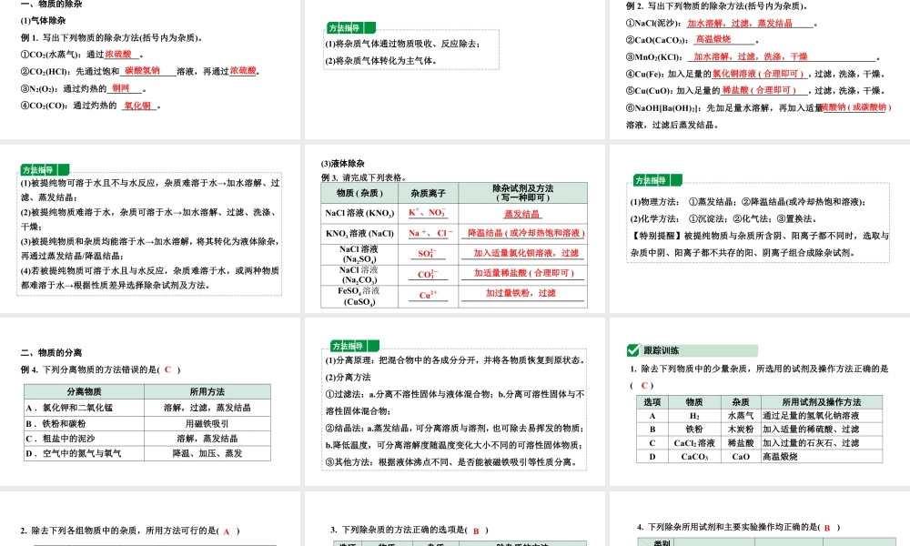 2024辽宁中考化学二轮重点专题研究 微专题 物质的除杂与分离（课件）.pptx