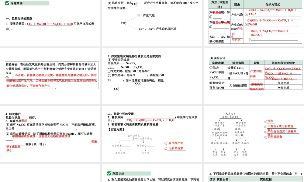 2024宁夏中考化学二轮复习 氢氧化钠、氢氧化钙变质的探究（课件）.pptx