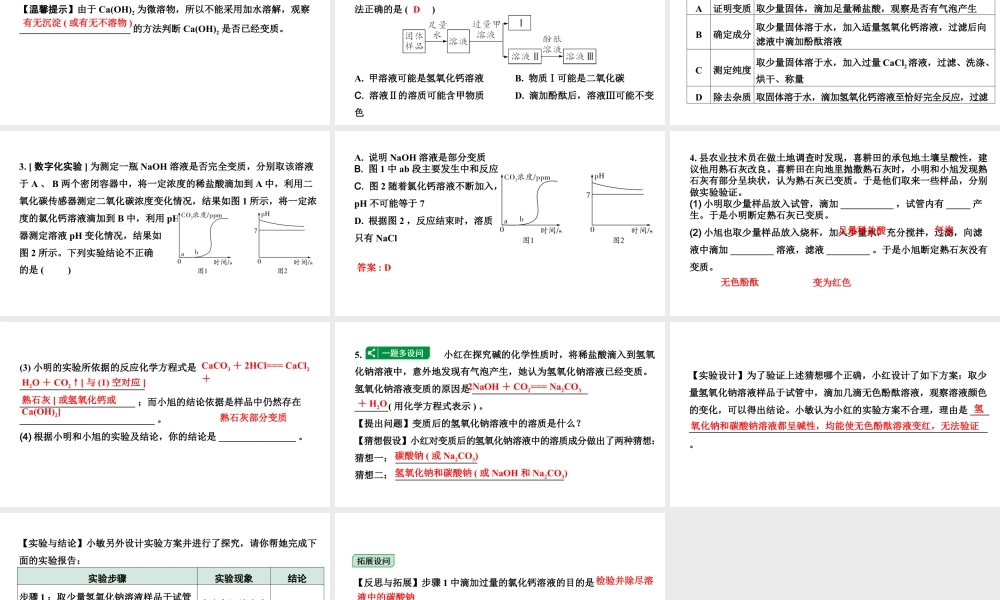 2024宁夏中考化学二轮复习 氢氧化钠、氢氧化钙变质的探究（课件）.pptx