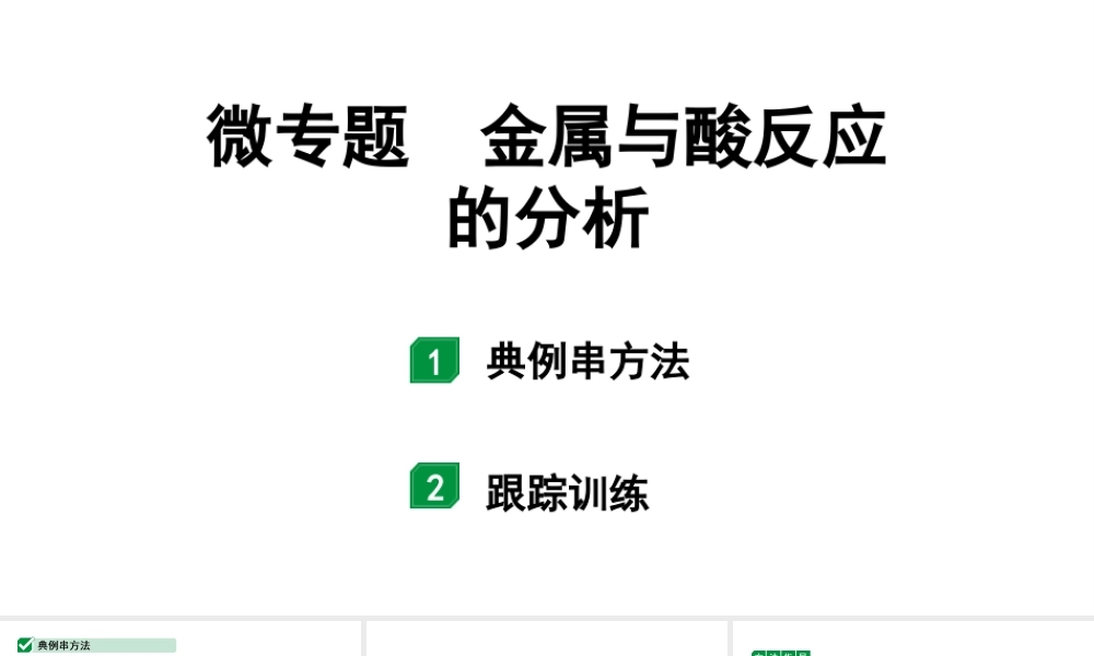 2024宁夏中考化学二轮重点专题突破 微专题 金属与酸反应的分析（课件）.pptx