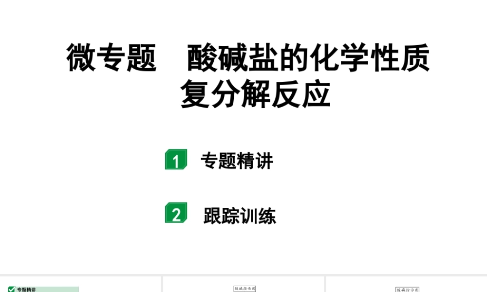 2024宁夏中考化学二轮重点专题突破 微专题 酸碱盐的化学性质  复分解反应（课件）.ppt