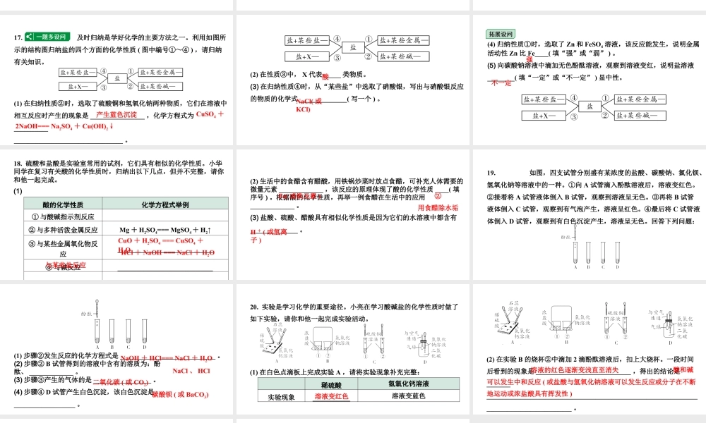 2024宁夏中考化学二轮重点专题突破 微专题 酸碱盐的化学性质  复分解反应（课件）.ppt