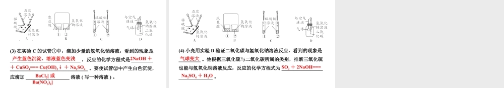 2024宁夏中考化学二轮重点专题突破 微专题 酸碱盐的化学性质  复分解反应（课件）.ppt