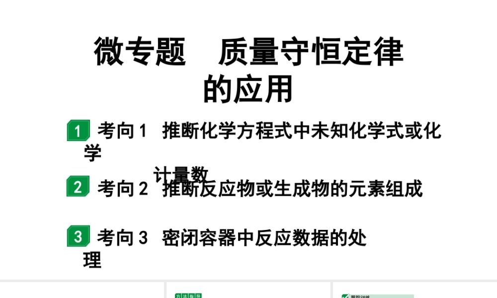 2024宁夏中考化学二轮重点专题突破 微专题 质量守恒定律的应用（课件）.ppt