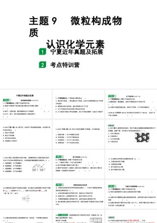 2024宁夏中考化学二轮重点专题突破 主题9 微粒构成物质 认识化学元素（课件）.pptx