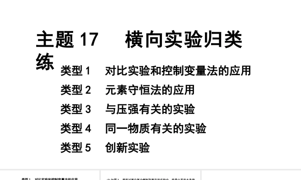 2024宁夏中考化学二轮重点专题突破 主题17 横向实验归类练（课件）.pptx