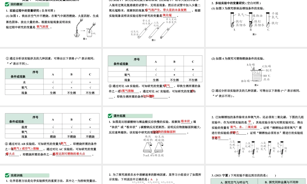 2024宁夏中考化学二轮重点专题突破 主题17 横向实验归类练（课件）.pptx