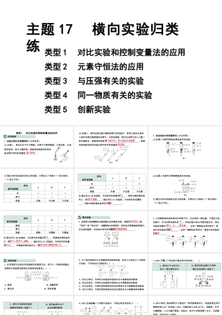 2024宁夏中考化学二轮重点专题突破 主题17 横向实验归类练（课件）.pptx