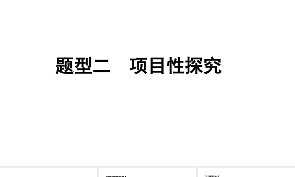 2024宁夏中考化学三轮冲刺全国视野 推荐题型 题型二 项目性探究（课件）.pptx