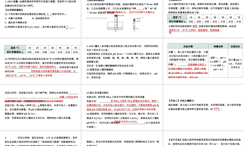 2024宁夏中考化学三轮冲刺全国视野 推荐题型 题型二 项目性探究（课件）.pptx