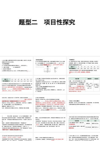 2024宁夏中考化学三轮冲刺全国视野 推荐题型 题型二 项目性探究（课件）.pptx