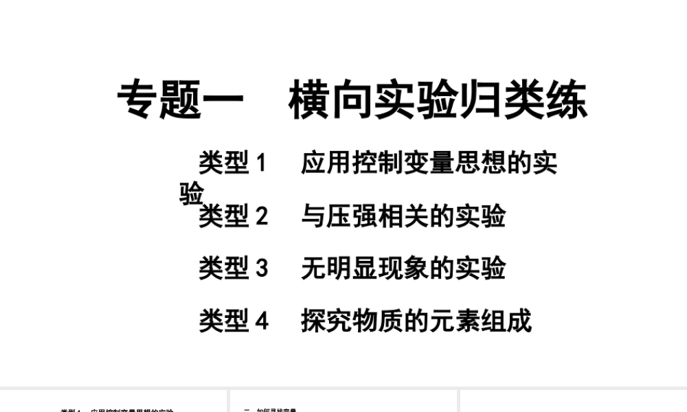 2024山东中考化学二轮中考考点研究 专题一 横向实验归类练 （课件）.pptx